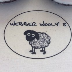 22448144_1195091987258294_4050155700499341264_n